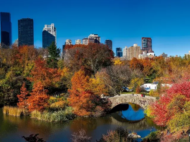 Central Park Proposal Spots